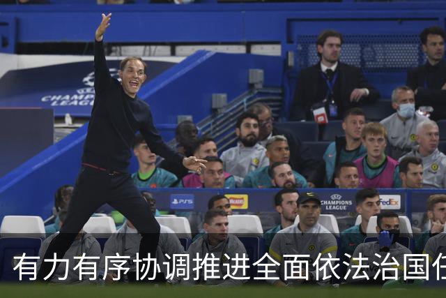 有力有序协调推进全面依法治国任务落实（权威发布·开局起步“十五五”）